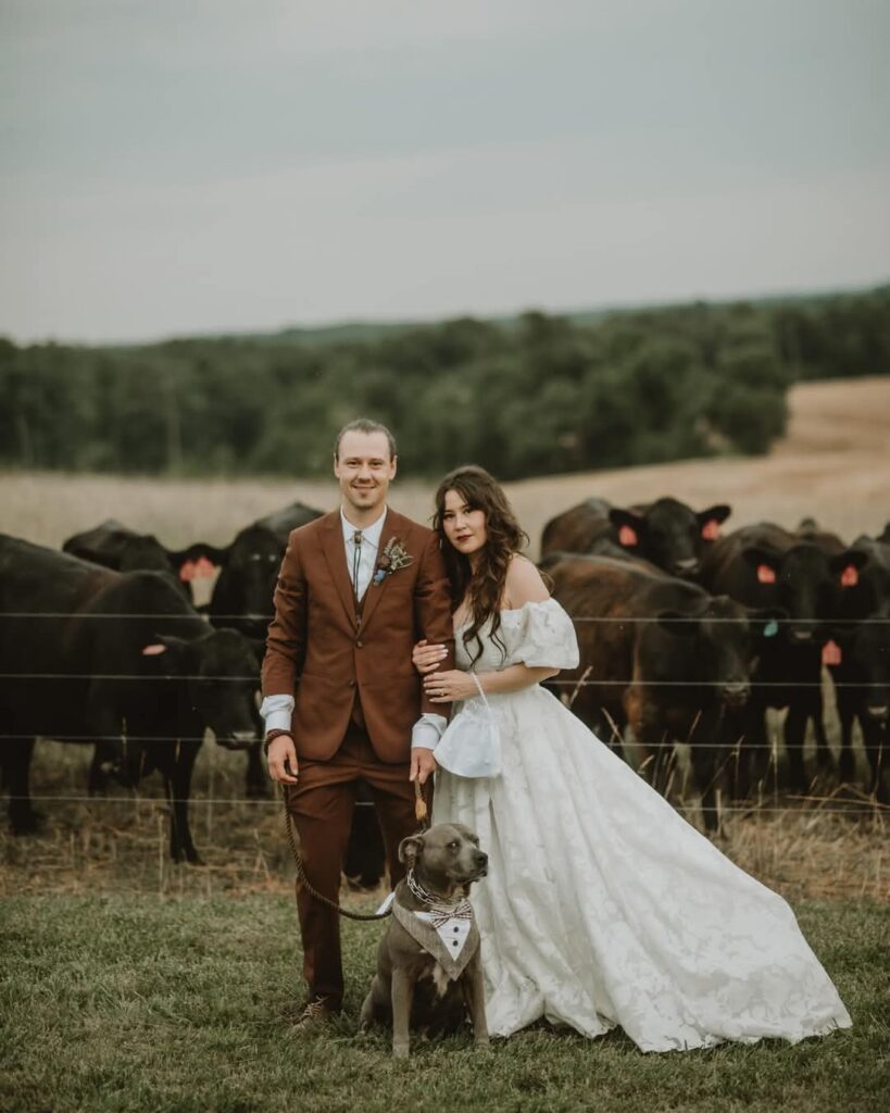 locally owned wedding venue with lodging in northwest Nc near Winston-Salem and Charlotte picture with cows on the farm