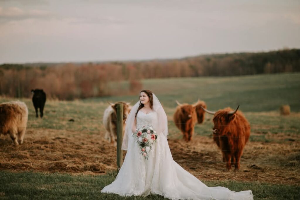 Bridal portrait at locally owned wedding venue with lodging The Barn at Blueberry Hill in Elkin NC near Winston-Salem and Charlotte
