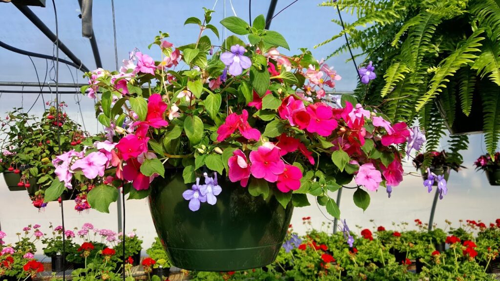 wedding flowers from Wall Greenhouse and Blueberry Hill edding venue with lodging and entertainment near Winston-Salem and Charlotte