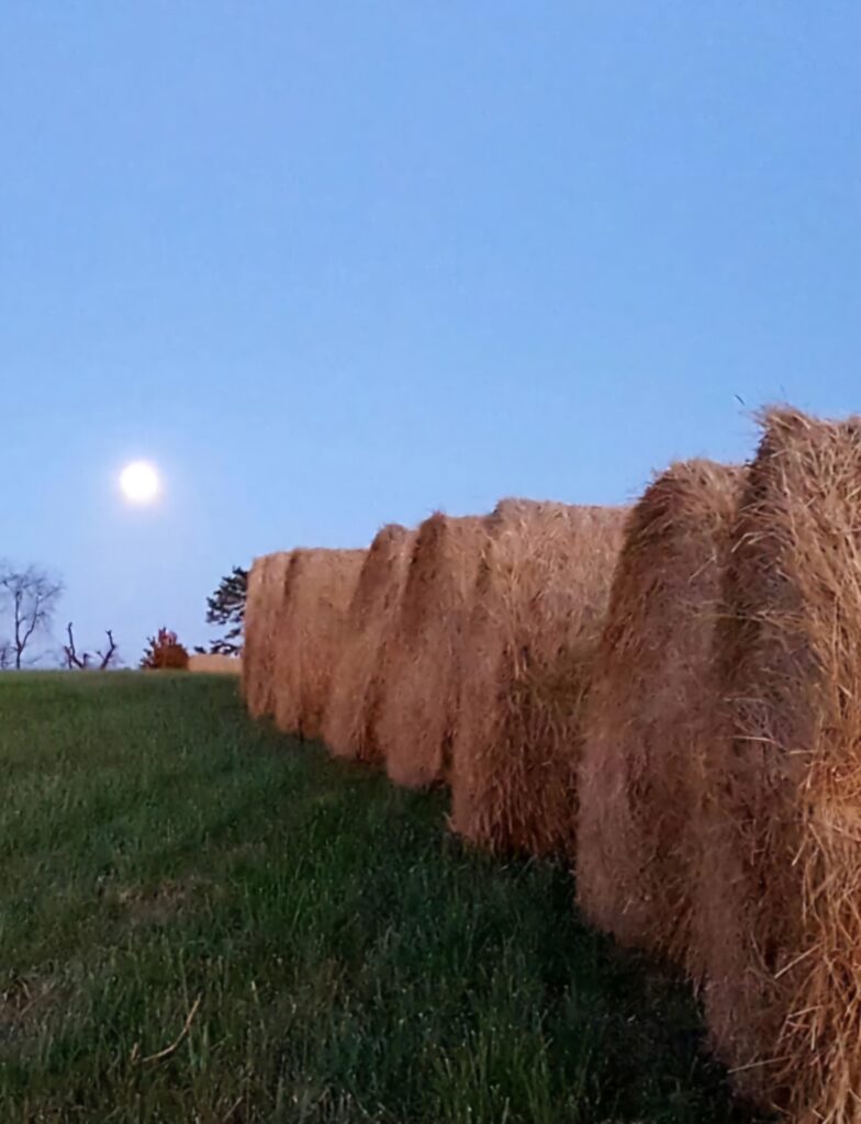 full moon at The Barn at Blueberry Hill wedding venue that includes lodging, bartender and DJ in Elkin, NC located near Winston-Salem and Charlotte