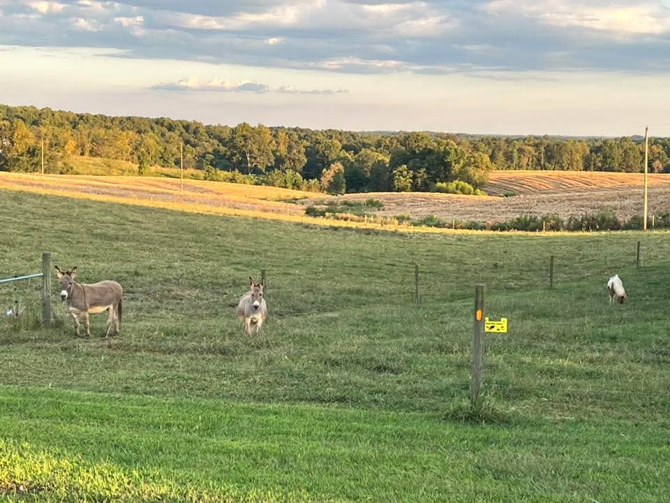 Locally owned NC wedding venue located near Winston-Salem and Charlotte with onsite lodging, DJ and bartender included